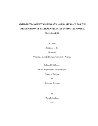 Maldi-Tof Mass Spectrometry and 16S Rna Approach for The