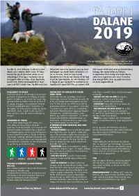 På Topp I Dalane 2019