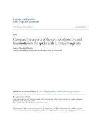 Comparative Aspects of the Control of Posture and Locomotion in The