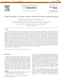 Neural Induction in Xenopus Requires Inhibition of Wnt-Β-Catenin Signaling ⁎ Elizabeth Heeg-Truesdell A, Carole Labonne A,B