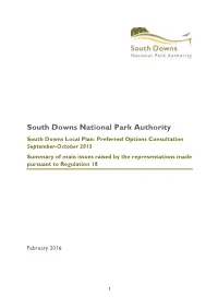 Summary of Main Issues Raised by the Representations Made Pursuant to Regulation 18
