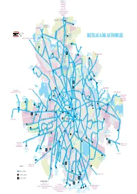 Autobuze.Pdf