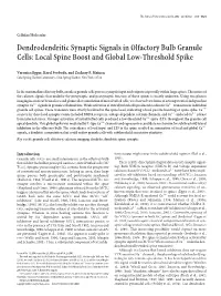 Dendrodendritic Synaptic Signals in Olfactory Bulb Granule Cells: Local Spine Boost and Global Low-Threshold Spike