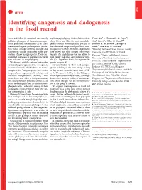 Identifying Anagenesis and Cladogenesis in the Fossil Record