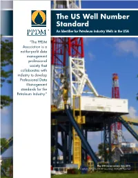 The US Well Number Standard: an Identifier for Petroleum Industry