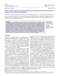 Pharmacological Modulators of Autophagy Activate a Parallel Noncanonical Pathway Driving Unconventional LC3 Lipidation