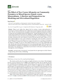 The Effect of Tree Crown Allometry on Community Dynamics in Mixed