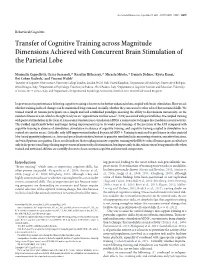 Transfer of Cognitive Training Across Magnitude Dimensions Achieved with Concurrent Brain Stimulation of the Parietal Lobe