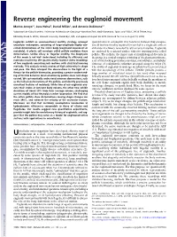 Reverse Engineering the Euglenoid Movement