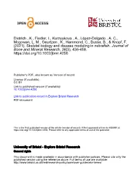 Skeletal Biology and Disease Modeling in Zebrafish
