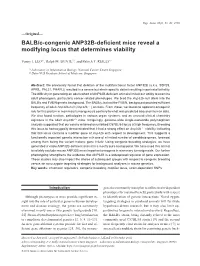 BALB/C-Congenic ANP32B-Deficient Mice Reveal a Modifying Locus That Determines Viability