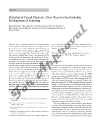 New Clues for the Cerebellar Mechanisms of Learning