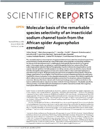Molecular Basis of the Remarkable Species Selectivity of an Insecticidal
