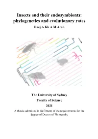 Thesis (PDF, 13.51MB)