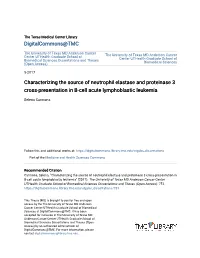 Characterizing the Source of Neutrophil Elastase and Proteinase 3 Cross-Presentation in B-Cell Acute Lymphoblastic Leukemia