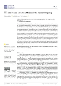 Free and Forced Vibration Modes of the Human Fingertip