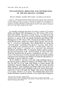 Vocalizations, Behavior and Distribution of the Rio Branco Antbird