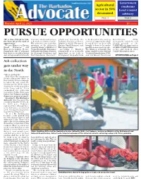 Barbados Advocate After the End of the Scheduled Window of 7:00 A.M