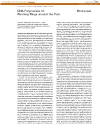 DNA Polymerase III: Minireview Running Rings Around the Fork