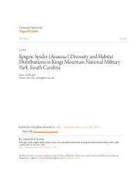 Epigeic Spider (Araneae) Diversity and Habitat Distributions in Kings