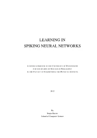 Learning in Spiking Neural Networks