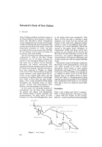 Salvadori's Duck of New Guinea