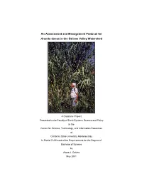 A Guide to a Study of Arundo Donax