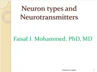 Neuron Types and Neurotransmitters