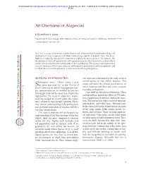 An Overview of Alopecias