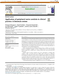 Application of Peripheral Nerve Conduits in Clinical Practice: a Literature Review