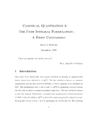 Canonical Quantization & the Path Integral Formulation ; a Brief