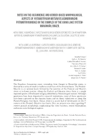 Notes on the Occurrence and Gender-Based Morphological