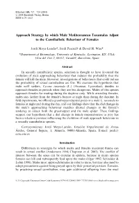 Approach Strategy by Which Male Mediterranean Tarantulas Adjust to the Cannibalistic Behaviour of Females