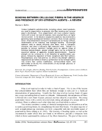 Bonding Between Cellulosic Fibers in the Absence and Presence of Dry-Strength Agents – a Review