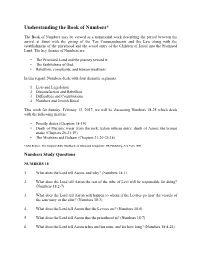Understanding the Book of Numbers*