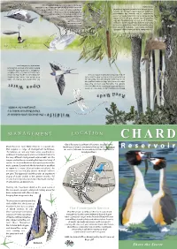 Chard Leaflet Both Sides.Indd