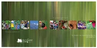 2007 Annual Report MESSAGE from the BOARD CHAIR