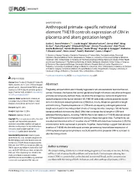 Anthropoid Primate–Specific Retroviral Element THE1B Controls Expression of CRH in Placenta and Alters Gestation Length
