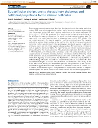 Subcollicular Projections to the Auditory Thalamus and Collateral Projections to the Inferior Colliculus