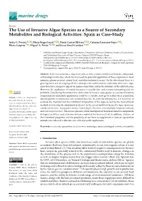 The Use of Invasive Algae Species As a Source of Secondary Metabolites and Biological Activities: Spain As Case-Study