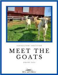 Goats Activity