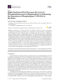 High-Cholesterol Diet Decreases the Level of Phosphatidylinositol 4,5-Bisphosphate by Enhancing the Expression of Phospholipase C (Plcβ1) in Rat Brain