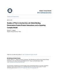 Studies of Phou in Escherichia Coli: Metal Binding, Dimerization,Protein/Protein Interactions, and a Signaling Complex Model