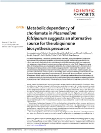 Metabolic Dependency of Chorismate in Plasmodium Falciparum Suggests