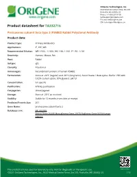Proteasome Subunit Beta Type 2 (PSMB2) Rabbit Polyclonal Antibody Product Data