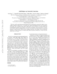 Salt Polygons Are Caused by Convection