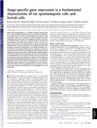 Stage-Specific Gene Expression Is a Fundamental Characteristic of Rat Spermatogenic Cells and Sertoli Cells