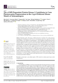 The Cgmp-Dependent Protein Kinase 2 Contributes to Cone Photoreceptor Degeneration in the Cnga3-Deficient Mouse Model of Achroma