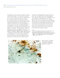 Blueschist Metamorphism in an Active Subduction Zone Hirokazu Maekawa, Kobe University