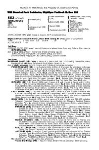 HORSE in TRAINING, the Property of Juddmonte Farms
